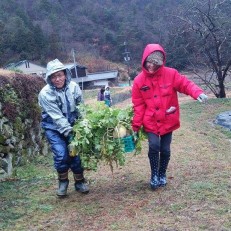 写真１月①吉田