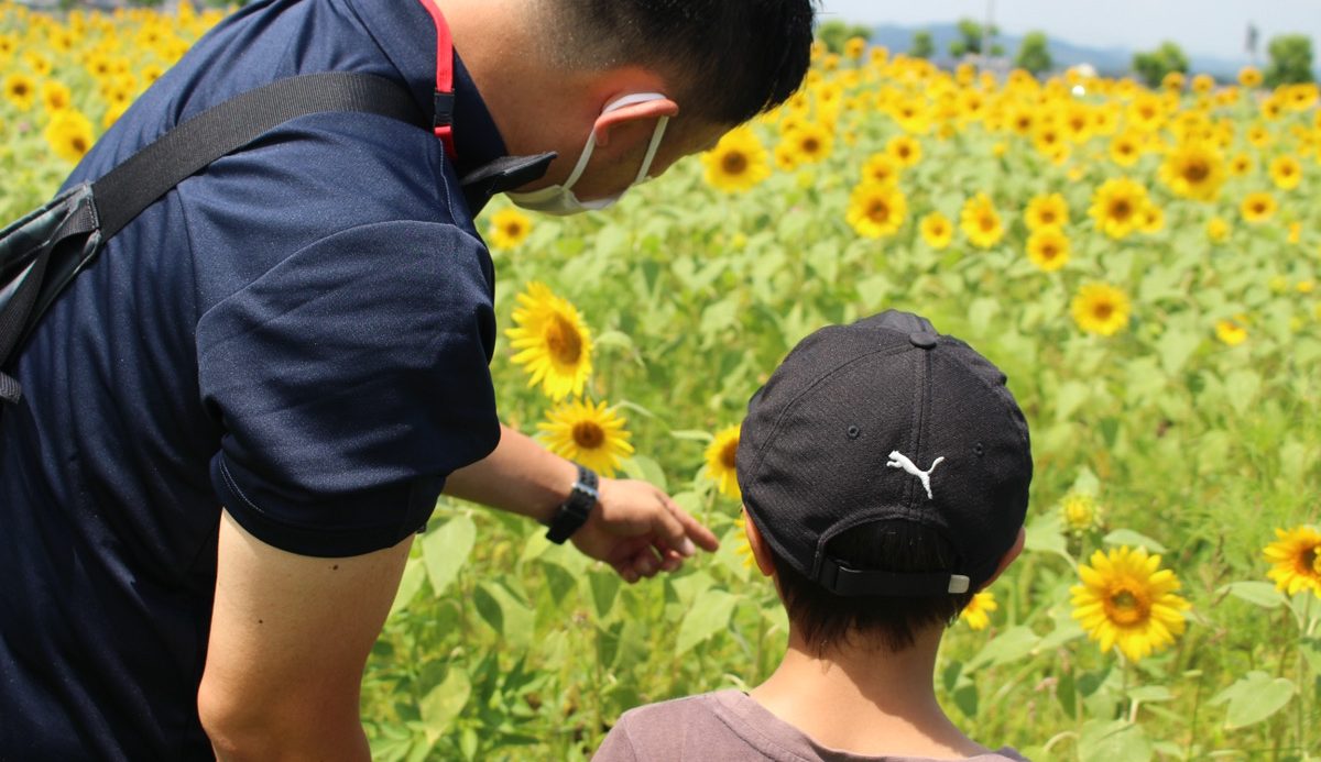 イベント案内